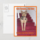 Recherche de friandise cartes postales Animal
