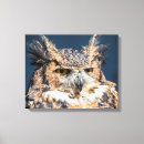 Recherche de owl painting toiles Oiseau