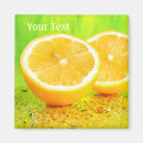 Recherche de fruit refrigérateur magnets Citrus
