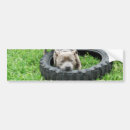 Recherche de terrier voiture autocollants Dog