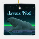 Recherche de glace ornements Nature