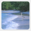 Recherche de nourriture et boisson autocollants Extérieur