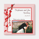 Recherche de cerises rouges magnets Nature