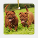 Recherche de dogue de bordeaux ornements Français