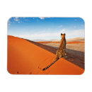 Recherche de savane magnets Paysage