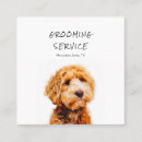 Recherche de caniches cartes visite Customer