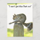 Recherche de funny squirrel posters Drôle