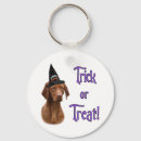 Recherche de vizsla accessoires Canine