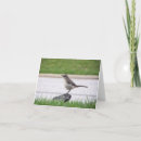 Recherche de affranchissement vœux cartes Photographie