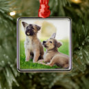 Recherche de german shepherd ornamente Cute