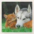 Zoek naar friend onderzetters Schattig