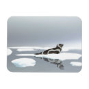 Recherche de joint magnets Gris