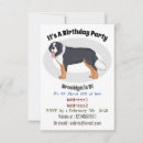 Recherche de suisse invitations Berne