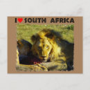 Recherche de lions cartes postales Africain