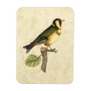 Recherche de arrière plan beige magnets Oiseau