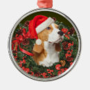 Zoek naar beagle ornamenten Kerst