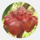 Recherche de torche autocollants Fleur