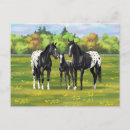 Recherche de cheval noir cartes postales Animaux de ferme