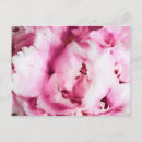 Recherche de poney peinture cartes postales Printemps