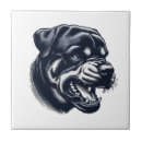 Recherche de rottweiler carreaux Pug