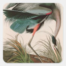 Recherche de audubon autocollants John