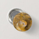 Recherche de fossil badges Paléontologie