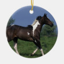 Recherche de peignez la boule Fonctionnement