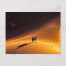 Recherche de désert cartes postales Namibie