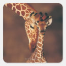 Recherche de tête de girafe autocollants Extérieur