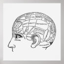 Recherche de neurologie posters Anatomie du cerveau