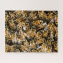 Zoek naar honingbijen puzzels Vleugels