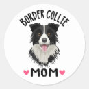 Recherche de chiot blanc Amoureux des chiens
