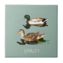 Recherche de canard carreaux Nature