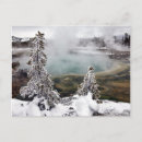 Recherche de yellowstone cartes postales Destinations de voyage