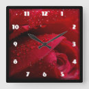 Recherche de macro de fleur art Rose