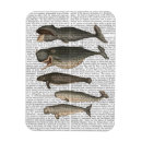 Recherche de baleine magnets Vintage