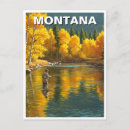Recherche de mouches cartes postales Nature