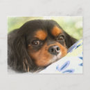 Zoek naar cavalier briefkaarten Schattig