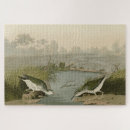Recherche de bécasseau puzzles Oiseau