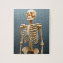 Recherche de squelettes puzzles Os