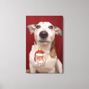 Recherche de jack russel toiles Animal