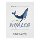 Zoek naar walvis posters Bultrug