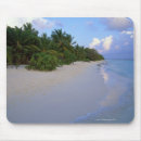 Recherche de possibilité tapis souris Station touristique