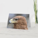 Recherche de oeil brun vœux cartes Oiseau