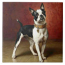 Recherche de peinture de chien carreaux Animal