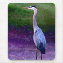 Recherche de héron bleu tapis souris Sauvage