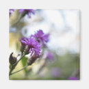 Recherche de originale magnets Violet