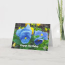 Zoek naar pansy kaarten Foto