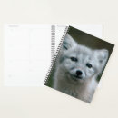 Recherche de kit bureau fournitures Mignon