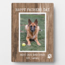 Recherche de chien plaques Dad